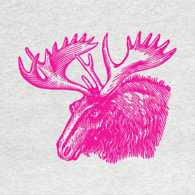 Pink Moose by DavidLoblaw